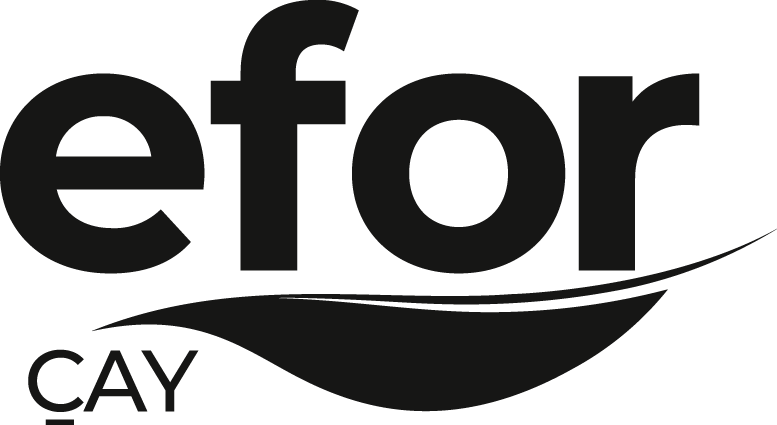 Efor Çay